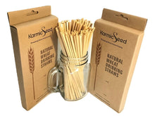 Load image into Gallery viewer, Eco-Friendly Natural Wheat Hay Drinking Straws (100 Straws)