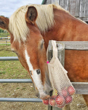 Load image into Gallery viewer, the french market bag in natural
