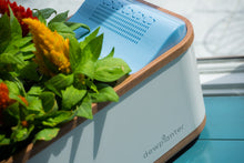 Load image into Gallery viewer, Dewplanter - The Water Generating Planter
