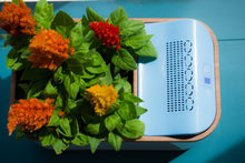Load image into Gallery viewer, Dewplanter - The Water Generating Planter
