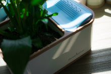 Load image into Gallery viewer, Dewplanter - The Water Generating Planter
